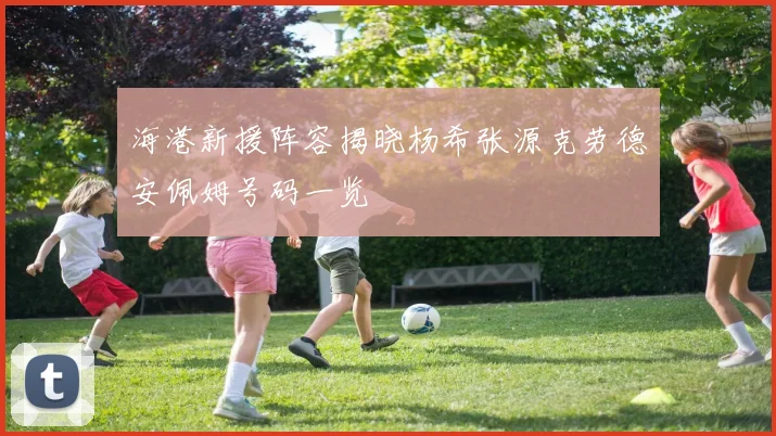 海港新援阵容揭晓杨希张源克劳德安佩姆号码一览