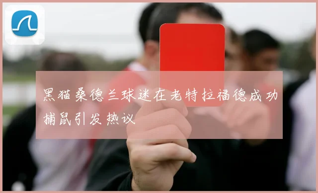 黑猫桑德兰球迷在老特拉福德成功捕鼠引发热议