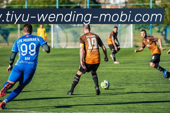 问鼎娱乐平台生态图