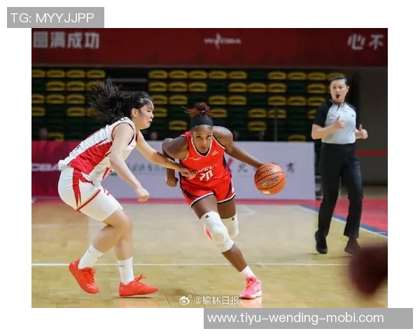 陕西天泽女篮与能源之城携手共进展现新篇章的美好期待